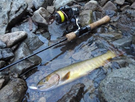 尺イワナハンティング ～長良川水系～